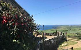 1 Bryn Tirion Uchaf